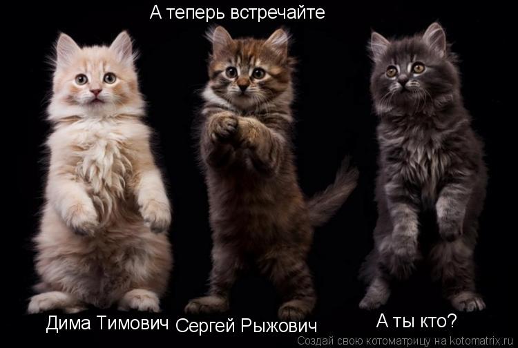 Котоматрица: А теперь встречайте Дима Тимович Сергей Рыжович А ты кто?