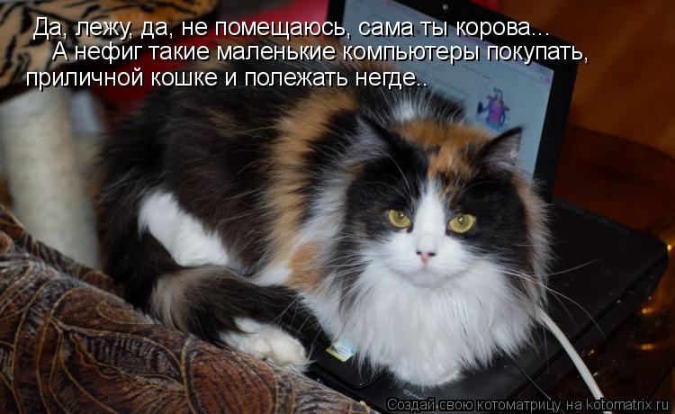 Да, лежу, да, не помещаюсь, сама ты корова... А нефиг такие маленькие компьютеры покупать, приличной... Котоматрица: Да, лежу, да, не помещаюсь, сама ты корова... А нефиг такие маленькие компьютеры покупать, приличной кошке и полежать негде..