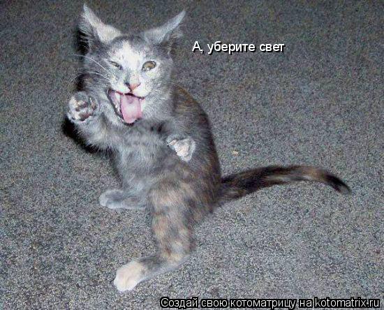 Котоматрица: А, уберите свет
