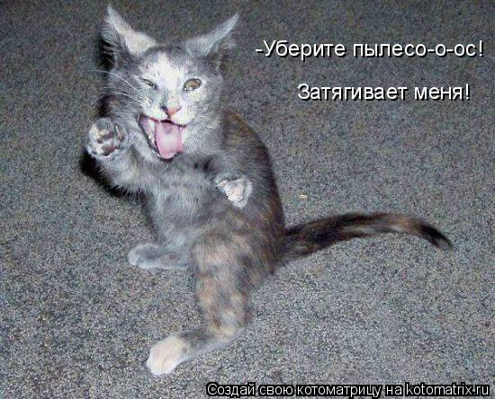 -Уберите пылесо-о-ос! Затягивает меня!... Котоматрица: -Уберите пылесо-о-ос! Затягивает меня!