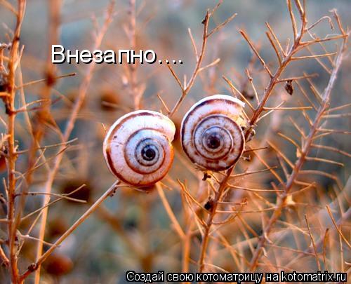 Котоматрица: Внезапно....