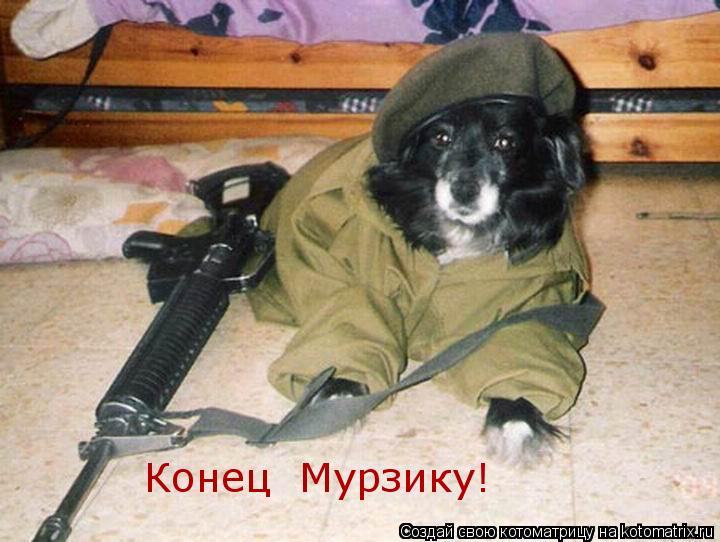 Котоматрица: Конец  Мурзику!