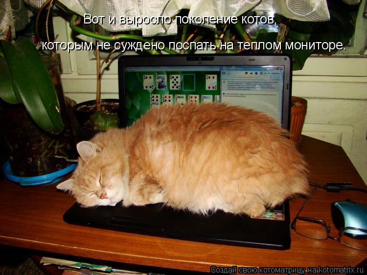 Котоматрица: Вот и выросло поколение котов,  которым не суждено поспать на теплом мониторе.