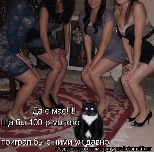 Да е мае!!!! Ща бы 100гр молоко поиграл бы с ними уж давно... Котоматрица: Да е мае!!!! Ща бы 100гр молоко поиграл бы с ними уж давно