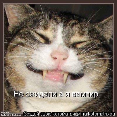 Котоматрица: Не ожидали а я вампир