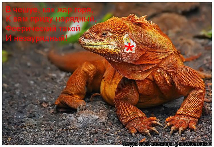 Котоматрица: В чешуе, как жар горя, К вам приду нарядный, Феерический такой И незаурядный! *