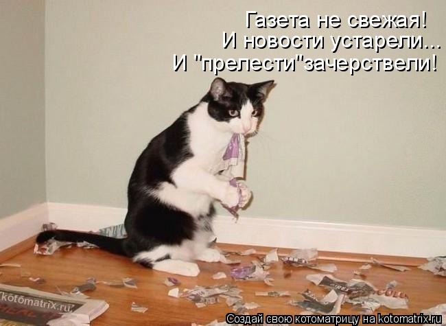 Котоматрица: Газета не свежая! И новости устарели... И "прелести"зачерствели!