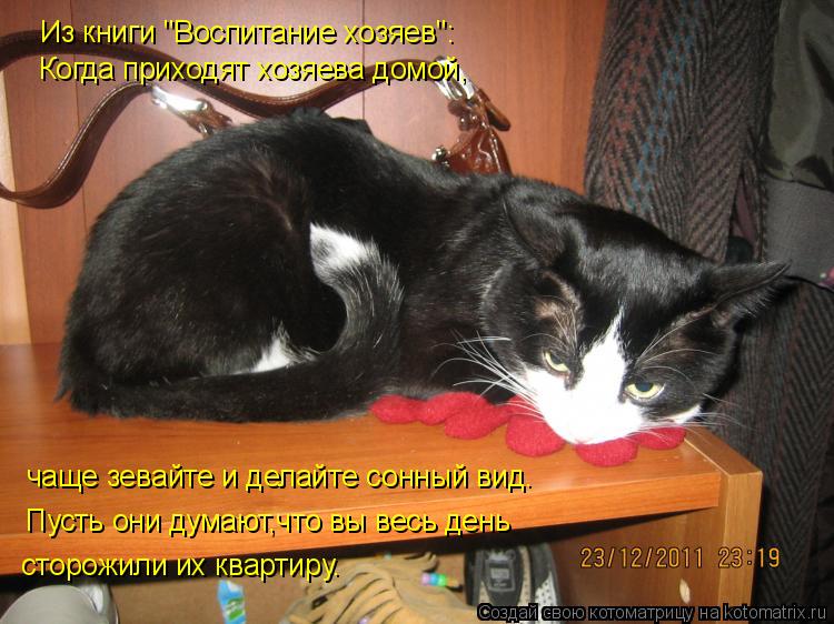 Из книги "Воспитание хозяев": Когда приходят хозяева домой, чаще зевайте и делайте сонный вид. Пусть ... Котоматрица: Из книги "Воспитание хозяев": Когда приходят хозяева домой, чаще зевайте и делайте сонный вид. Пусть они думают,что вы весь день сторожили и