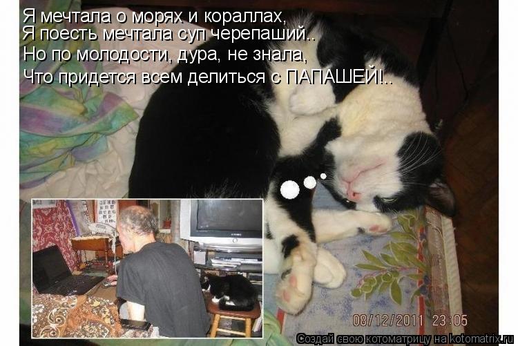 Я мечтала о морях и кораллах, Я поесть мечтала суп черепаший.. Но по молодости, дура, не знала, Что п... Котоматрица: Я мечтала о морях и кораллах, Я поесть мечтала суп черепаший.. Но по молодости, дура, не знала, Что придется всем делиться с ПАПАШЕЙ!..