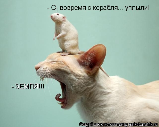 - ЗЕМЛЯ!!! - О, вовремя с корабля... уплыли!... Котоматрица: - ЗЕМЛЯ!!! - О, вовремя с корабля... уплыли!