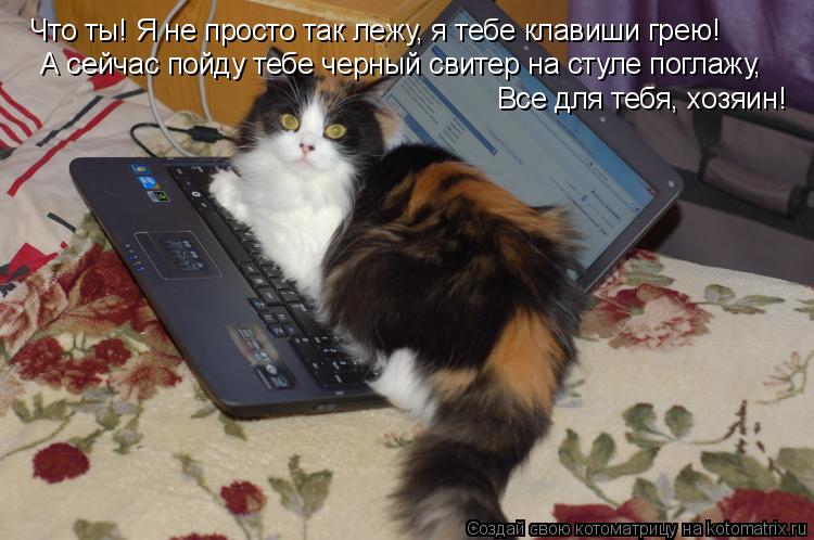 Котоматрица: Что ты! Я не просто так лежу, я тебе клавиши грею! А сейчас пойду тебе черный свитер на стуле поглажу, Все для тебя, хозяин!