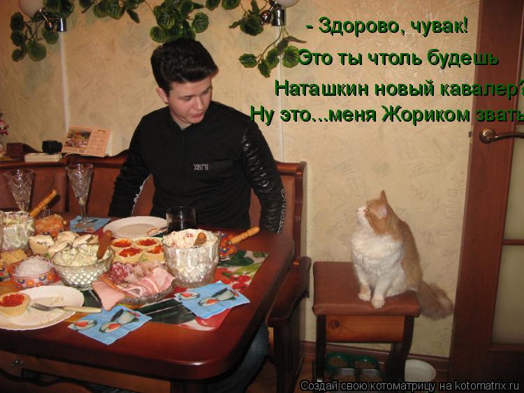Котоматрица: - Здорово, чувак! Это ты чтоль будешь  Наташкин новый кавалер? Ну это...меня Жориком звать.