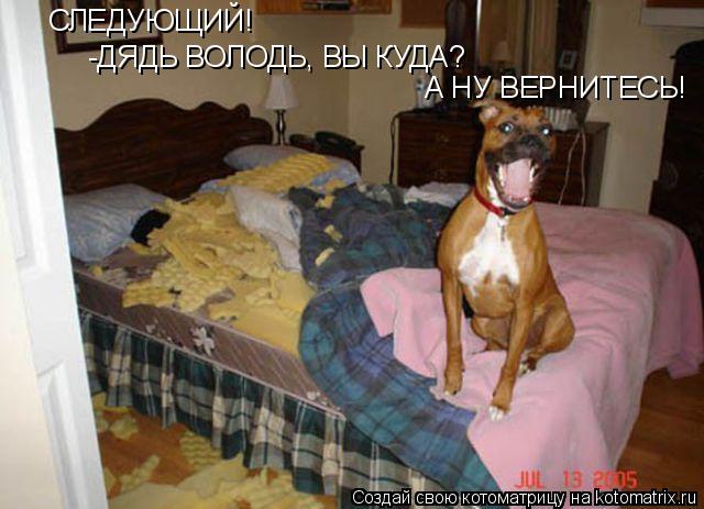 СЛЕДУЮЩИЙ! -ДЯДЬ ВОЛОДЬ, ВЫ КУДА? А НУ ВЕРНИТЕСЬ!... Котоматрица: СЛЕДУЮЩИЙ! -ДЯДЬ ВОЛОДЬ, ВЫ КУДА? А НУ ВЕРНИТЕСЬ!