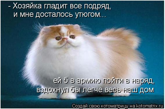 - Хозяйка гладит все подряд, и мне досталось утюгом... ей б в армию пойти в наряд, вздохнул бы легче ... Котоматрица: - Хозяйка гладит все подряд, и мне досталось утюгом... ей б в армию пойти в наряд, вздохнул бы легче весь наш дом