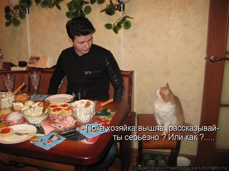 - Пока хозяйка вышла, рассказывай- ты серьёзно ? Или как ?........ Котоматрица: - Пока хозяйка вышла, рассказывай- ты серьёзно ? Или как ?.....