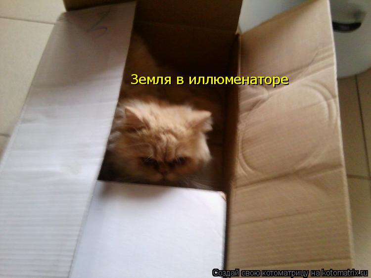 Земля в иллюменаторе... Котоматрица: Земля в иллюменаторе