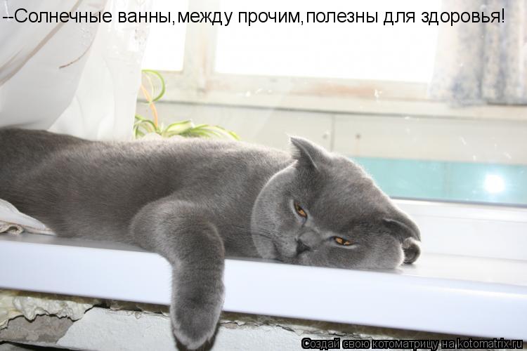 --Солнечные ванны,между прочим,полезны для здоровья!... Котоматрица: --Солнечные ванны,между прочим,полезны для здоровья!