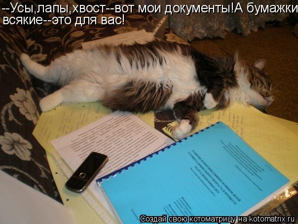 --Усы,лапы,хвост--вот мои документы!А бумажки всякие--это для вас!... Котоматрица: --Усы,лапы,хвост--вот мои документы!А бумажки всякие--это для вас!