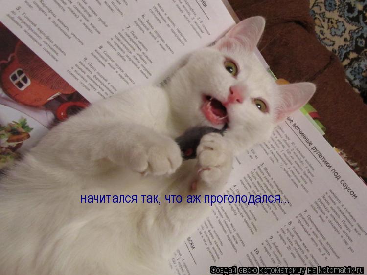 начитался так, что аж проголодался...... Котоматрица: начитался так, что аж проголодался...
