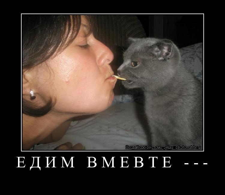 Едим вмевте --- ... Котоматрица: Едим вмевте ---