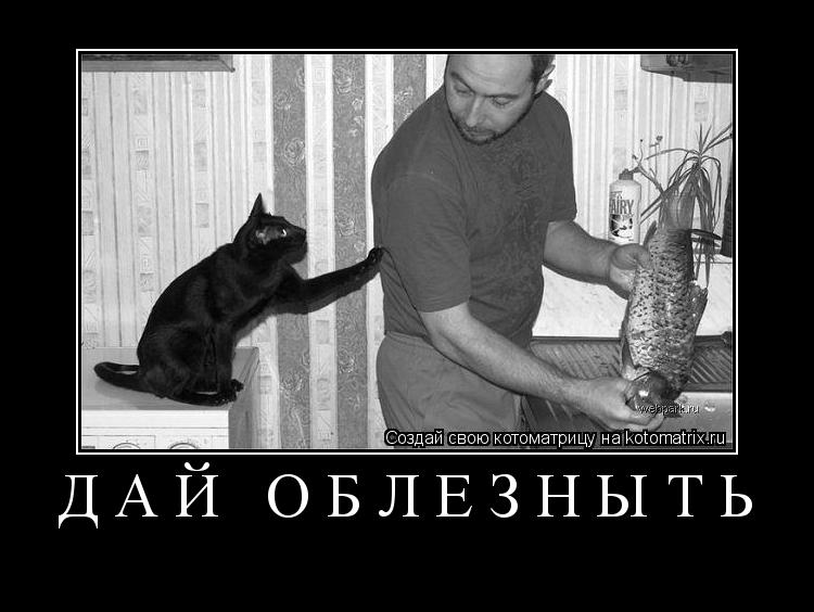дай облезныть ... Котоматрица: дай облезныть