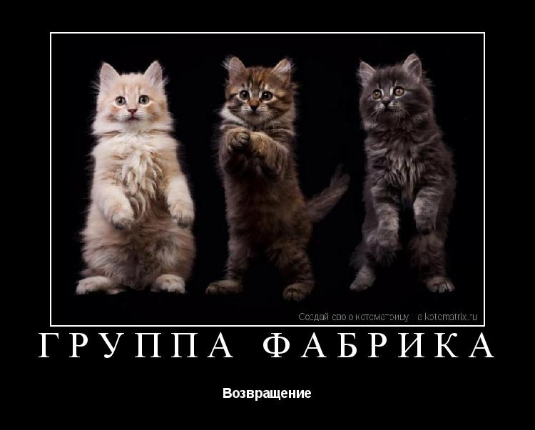 ГРУППА ФАБРИКА Возвращение... Котоматрица: ГРУППА ФАБРИКА Возвращение