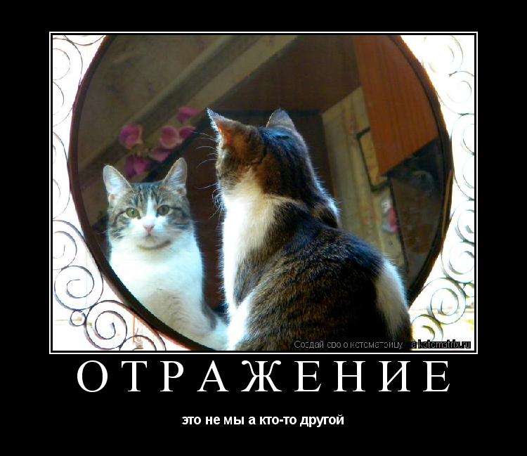 Котоматрица: Отражение это не мы а кто-то другой
