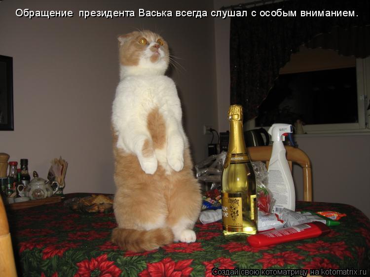 Обращение президента Васька всегда слушал с особым вниманием.... Котоматрица: Обращение президента Васька всегда слушал с особым вниманием.