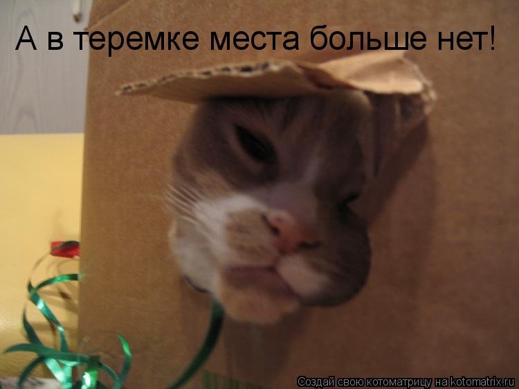 А в теремке места больше нет!... Котоматрица: А в теремке места больше нет!