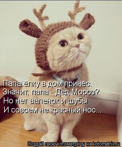Папа ёлку в дом принёс. Значит, папа - Дед Мороз? Но нет валенок и шубы И совсем не красный нос...... Котоматрица: Папа ёлку в дом принёс. Значит, папа - Дед Мороз? Но нет валенок и шубы И совсем не красный нос...