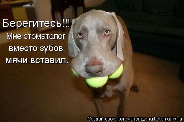 Мне стоматолог вместо зубов мячи вставил. Берегитесь!!!... Котоматрица: Мне стоматолог вместо зубов мячи вставил. Берегитесь!!!