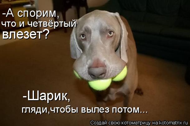 что и четвёртый -Шарик, гляди,чтобы вылез потом... -А спорим, влезет?... Котоматрица: что и четвёртый -Шарик, гляди,чтобы вылез потом... -А спорим, влезет?