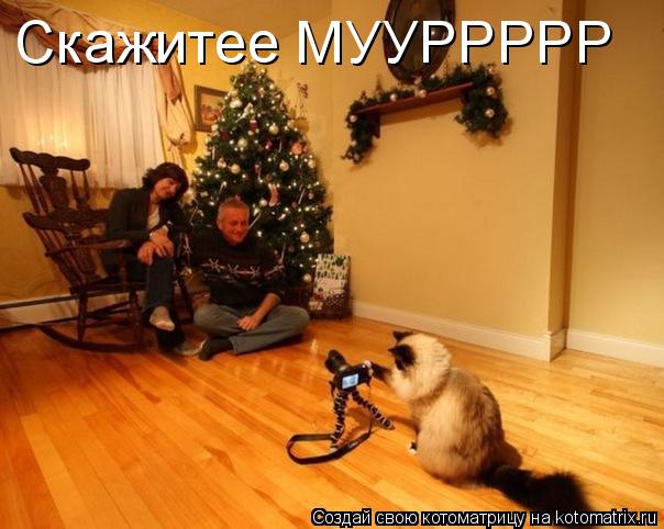 Скажитее МУУРРРРР... Котоматрица: Скажитее МУУРРРРР