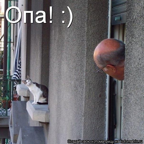 Опа! :)... Котоматрица: Опа! :)