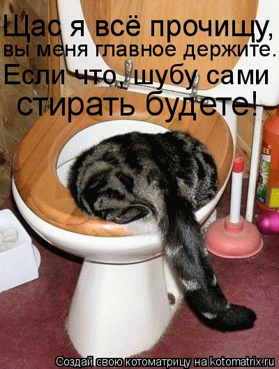 Котоматрица: вы меня главное держите. Если что, шубу сами Щас я всё прочищу, стирать будете!
