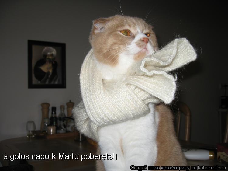 a golos nado k Martu poberets!!... Котоматрица: a golos nado k Martu poberets!!