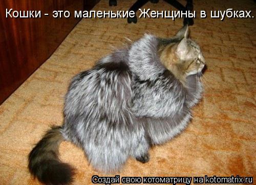 Котоматрица: Кошки - это маленькие Женщины в шубках.