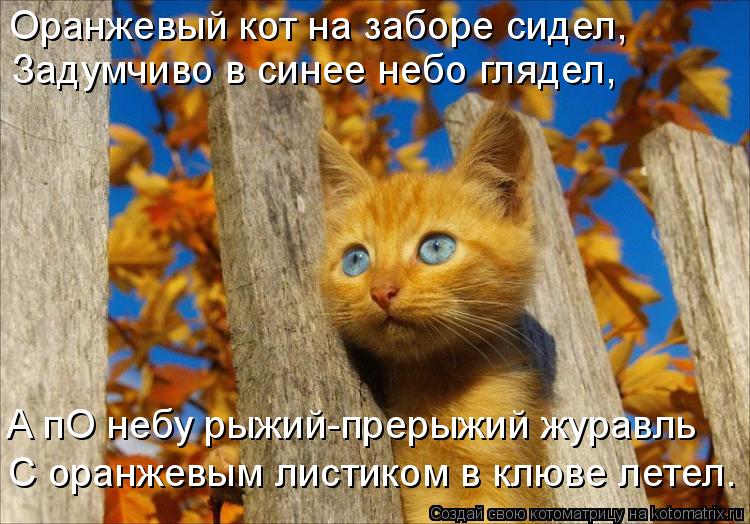 Котоматрица: Оранжевый кот на заборе сидел, Задумчиво в синее небо глядел, А пО небу рыжий-прерыжий журавль С оранжевым листиком в клюве летел.
