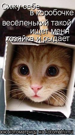 Сижу себе в коробочке весёленький такой ищет меня хозяйка и рыдает... Котоматрица: Сижу себе в коробочке весёленький такой ищет меня хозяйка и рыдает
