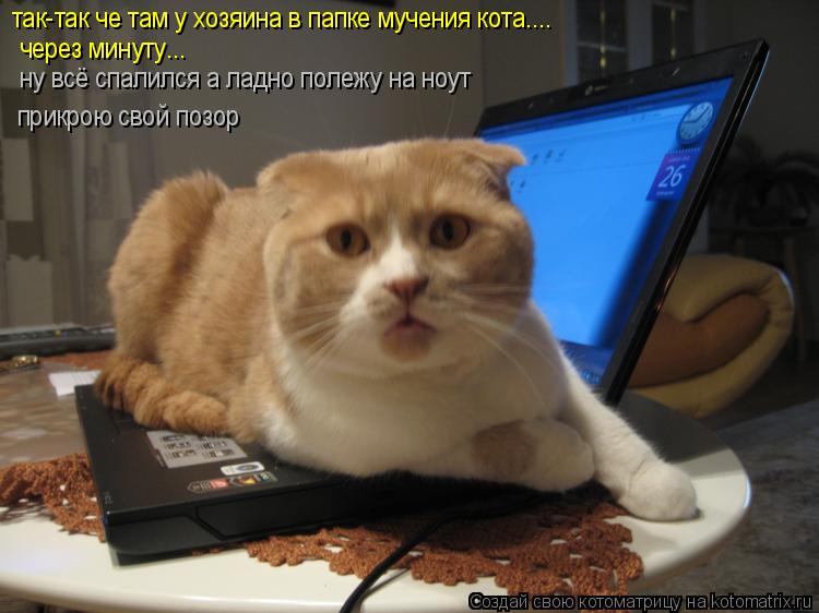 через минуту... так-так че там у хозяина в папке мучения кота.... прикрою свой позор ну всё спалился ... Котоматрица: через минуту... так-так че там у хозяина в папке мучения кота.... прикрою свой позор ну всё спалился а ладно полежу на ноут