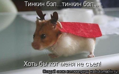 Тинкин бэл...тинкин бэл... Хоть бы кот меня не съел!... Котоматрица: Тинкин бэл...тинкин бэл... Хоть бы кот меня не съел!