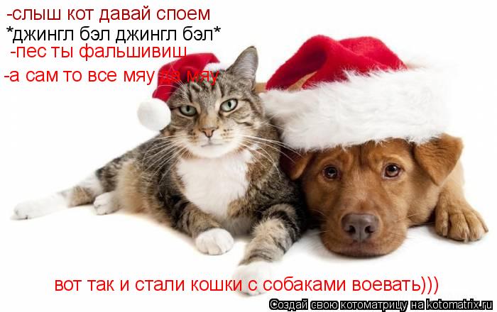 Котоматрица: -слыш кот давай споем *джингл бэл джингл бэл* -пес ты фальшивиш  -а сам то все мяу да мяу вот так и стали кошки с собаками воевать)))