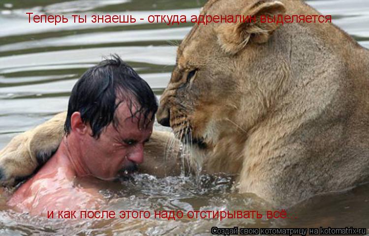 и как после этого надо отстирывать всё... Теперь ты знаешь - откуда адреналин выделяется... Котоматрица: и как после этого надо отстирывать всё... Теперь ты знаешь - откуда адреналин выделяется