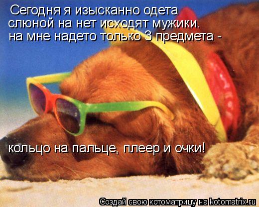 Сегодня я изысканно одета слюной на нет исходят мужики. на мне надето только 3 предмета - кольцо на п... Котоматрица: Сегодня я изысканно одета слюной на нет исходят мужики. на мне надето только 3 предмета - кольцо на пальце, плеер и очки!