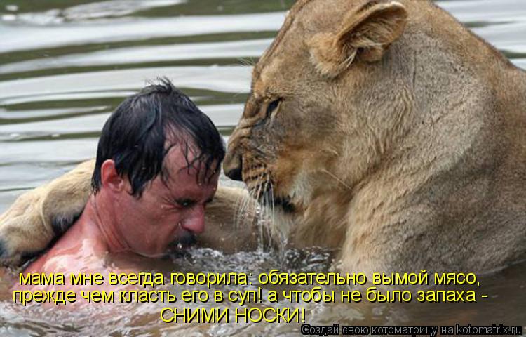 мама мне всегда говорила: обязательно вымой мясо, прежде чем класть его в суп! а чтобы не было запаха... Котоматрица: мама мне всегда говорила: обязательно вымой мясо, прежде чем класть его в суп! а чтобы не было запаха - СНИМИ НОСКИ!