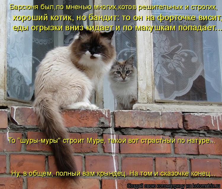Котоматрица: Барсюня был,по мненью многих,котов решительных и строгих,  хороший котик, но бандит: то он на форточке висит,  еды огрызки вниз кидает и по ма