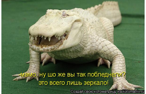 Котоматрица: -мамо, ну шо же вы так побледнели? это всего лишь зеркало!