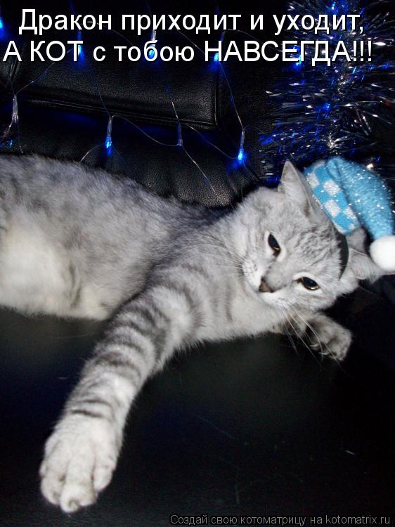 Котоматрица: Дракон приходит и уходит, А КОТ с тобою НАВСЕГДА!!!