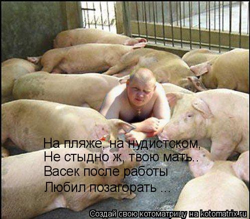 На пляже, на нудистском, Не стыдно ж, твою мать.. Любил позагорать ... Васек после работы... Котоматрица: На пляже, на нудистском, Не стыдно ж, твою мать.. Любил позагорать ... Васек после работы