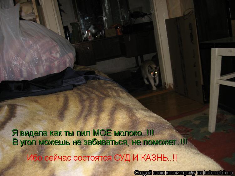 Я видела как ты пил МОЕ молоко..!!! В угол можешь не забиваться, не поможет..!!! Ибо сейчас состоятс... Котоматрица: Я видела как ты пил МОЕ молоко..!!! В угол можешь не забиваться, не поможет..!!! Ибо сейчас состоятся СУД И КАЗНЬ..!!